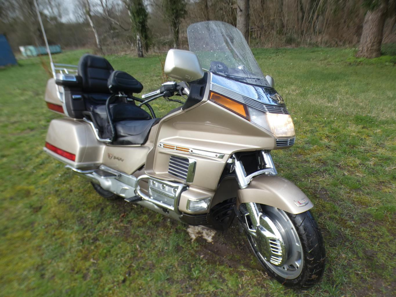 Honda Gl Gold Wing Bike Eco