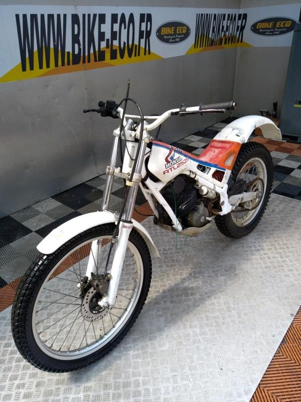 Honda rtl 250