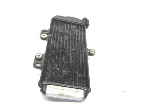 Radiateur eau YAMAHA TDR 125 1993-1996