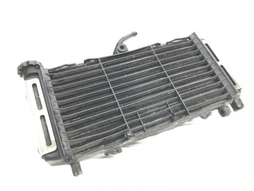 Radiateur eau HONDA CB F 600 1998-1999 HORNET