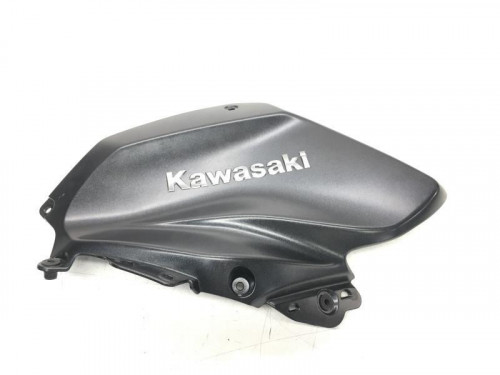 Cache reservoir gauche KAWASAKI Z 1000 2020-2022 H2