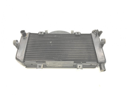 Radiateur eau YAMAHA TDM 900 2007-2010