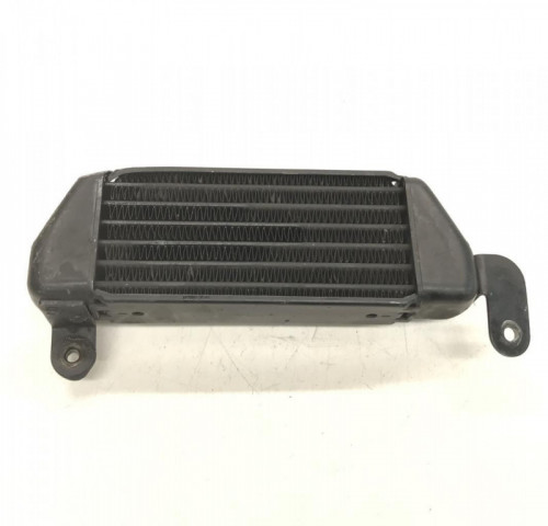 Radiateur huile TRIUMPH SPEED TRIPLE 955 I 1999-2004