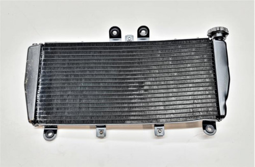 Radiateur eau TRIUMPH SPEED TRIPLE 1050 2008-2010