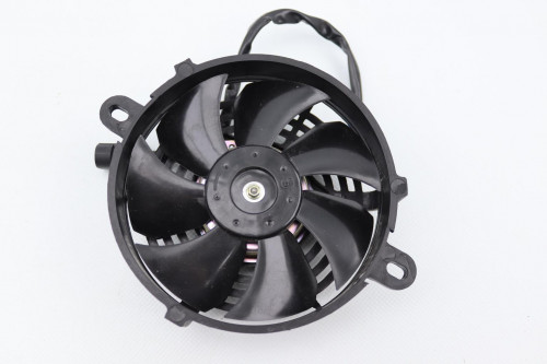 Ventilateur MALAGUTI 50 XSM 2019 - 2020