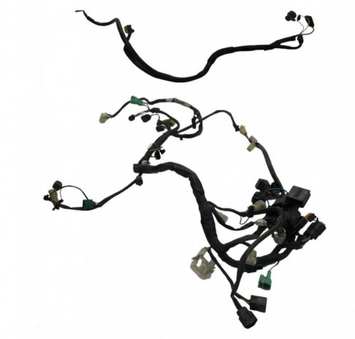 Faisceau electrique KAWASAKI KLV 1000 2004-2005