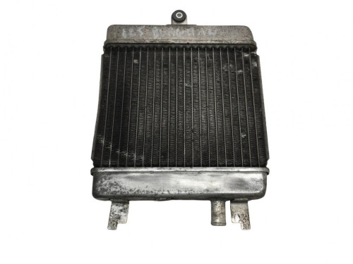 Radiateur eau SUZUKI UH 125 2014-2019 BURGMAN